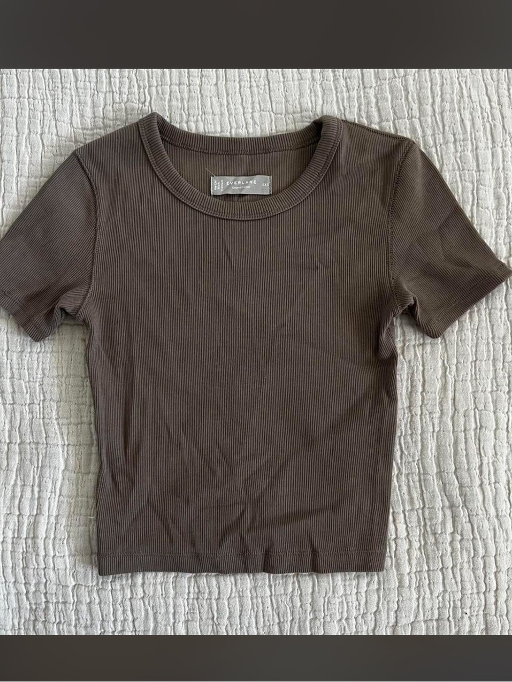 Everlane organic cotton tee